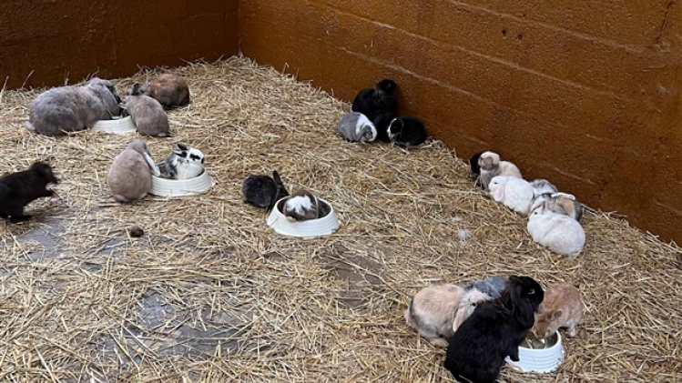 271929900_10160129777235854_3497435599459898663_n