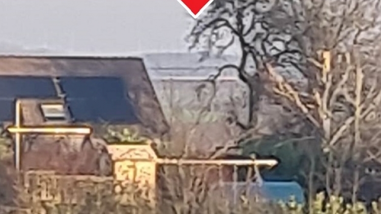 271275734_1109817659792337_5484800520141039451_n