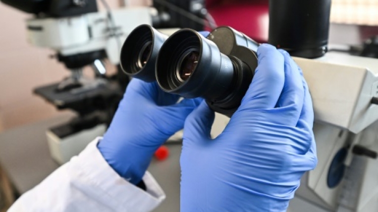 Repérer Alzheimer par une prise de sang: une révolution, mais pour quoi faire ?