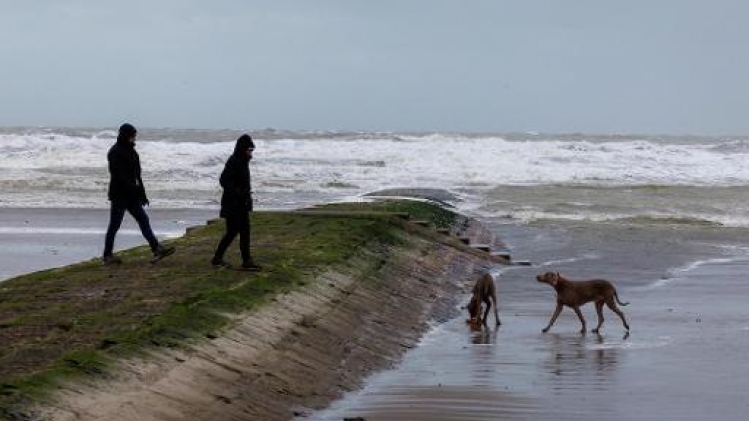Colruyt peut poursuivre la construction de sa ferme aquacole au large de Nieuport