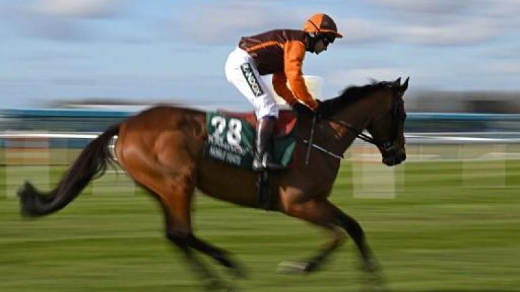 L'outsider Noble Yeats, coté à 50 contre 1, remporte le Grand National de Liverpool