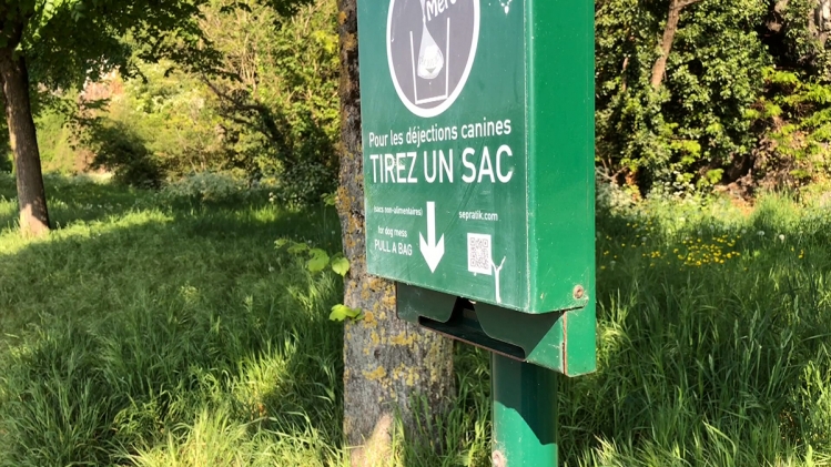 Abus dans les bornes Toutounet à Namur: les sacs à déjections désormais obligatoires pour promener son chien