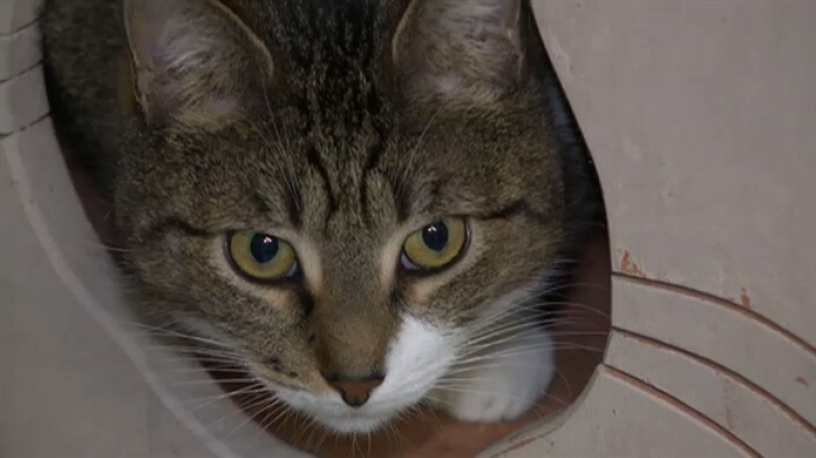 grab_20220429_175856_856