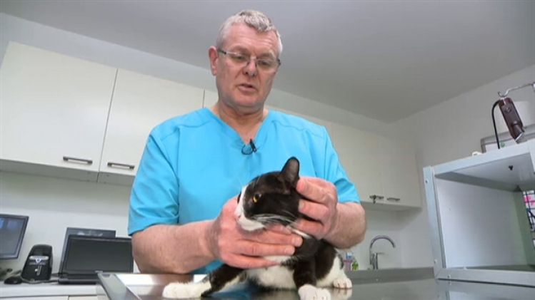 grab_20220429_175544_856