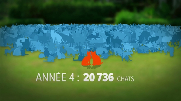 grab_20220429_174050_856