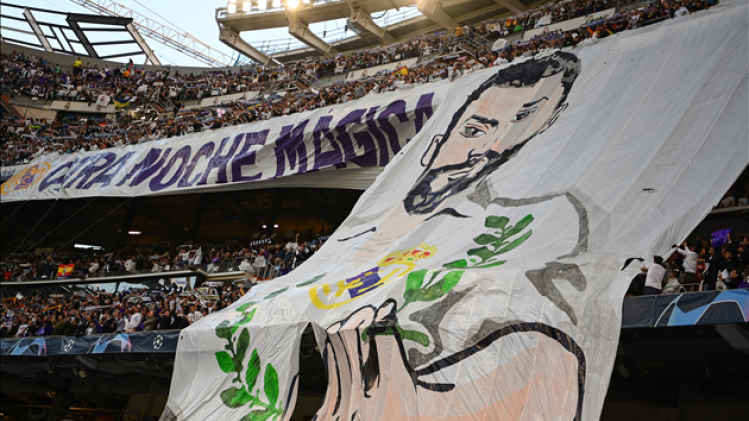 BELGAIMAGE-191196063