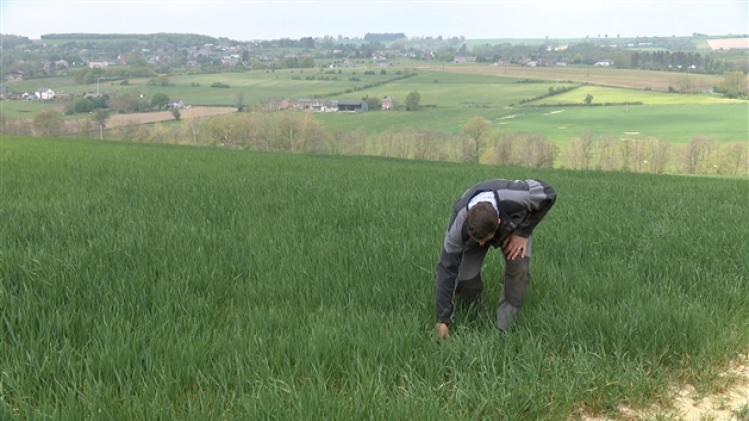 grab_20220505_191006_1