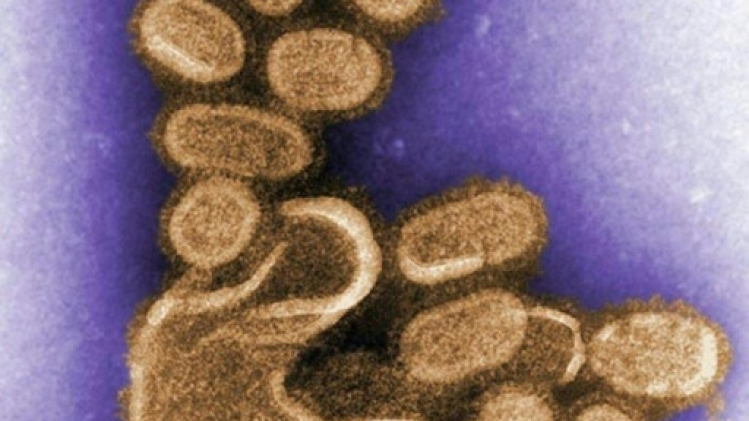 La grippe saisonnière, possible descendante directe de la grippe espagnole