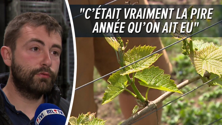 MAQUETTE ULTIME 1200 px