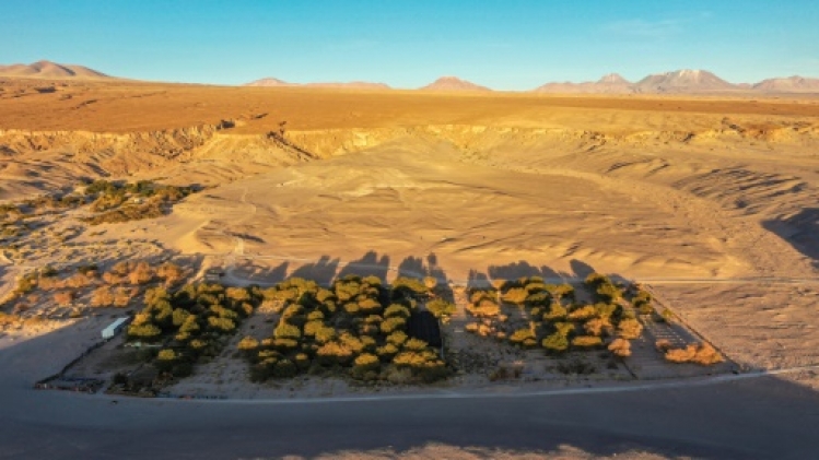 Soleil, aridité, altitude... le désert d'Atacama dans un verre de vin