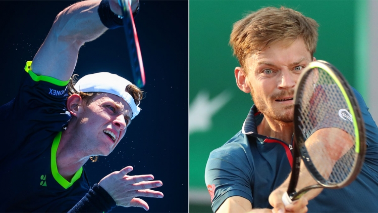 goffin-bergs