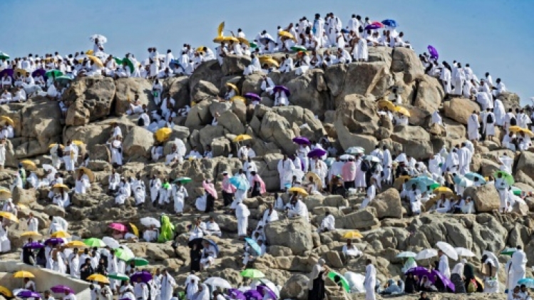 Les pèlerins prient sur le mont Arafat, point culminant du hajj