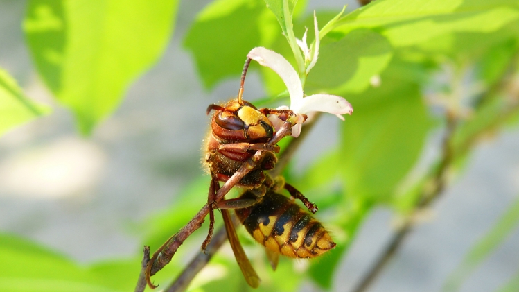 krzysztof-niewolny-VwgPPBI2A2c-unsplash