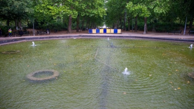 Après trois ans de travaux, la cure de jouvence du Parc royal de Bruxelles est terminée