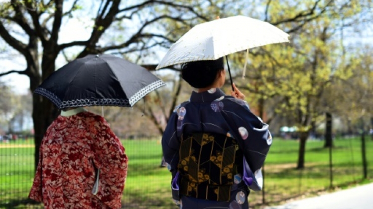 Fait inédit au Japon, une juge de la Cour suprême va utiliser son nom de jeune fille