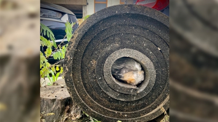 Entre le 2 et le 8 mars, 2.422 nouvelles contaminations ont été dépistées en moyenne par jour, soit une augmentation de 2% par rapport à la semaine précédente, selon les données publiées lundi matin par l'Institut de santé publique Sciensano