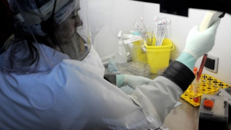 Le nombre d'infections à la variole du singe augmente très faiblement