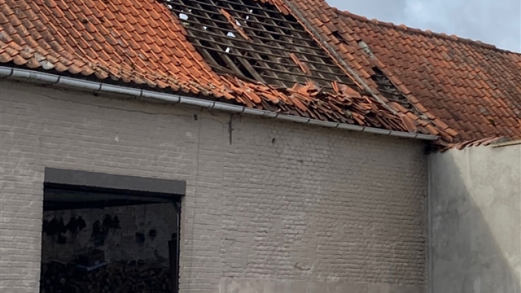 whatsapp image 2022-10-24 at 11.47.04 (2)