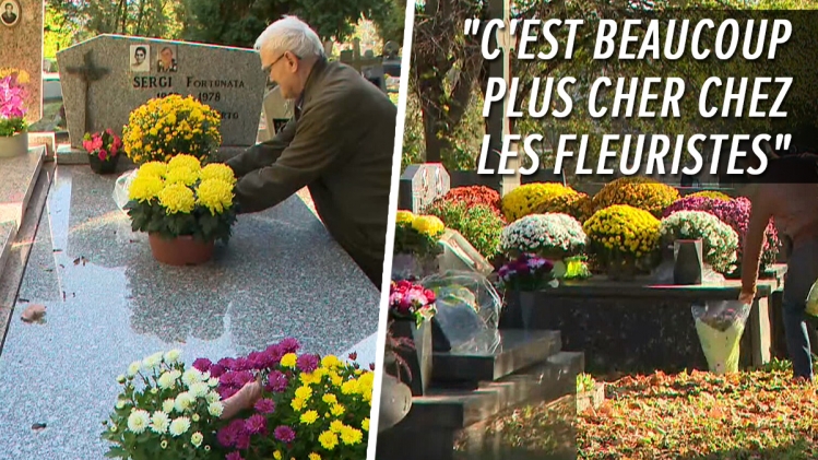Fleurs-cimetiers-illu