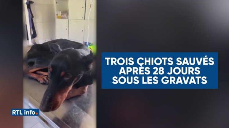 0bresil-bolsonaro-president-rtlinfo