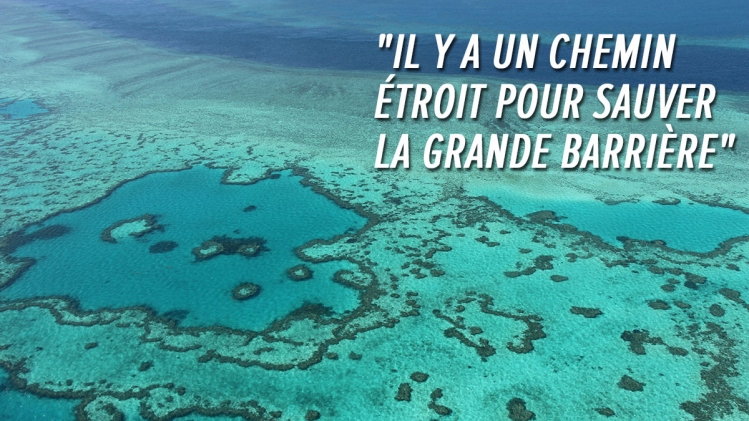 La Grande Barrière de corail menacée par le changement climatique: elle risque d'être classée parmi les sites en péril du patrimoine mondial