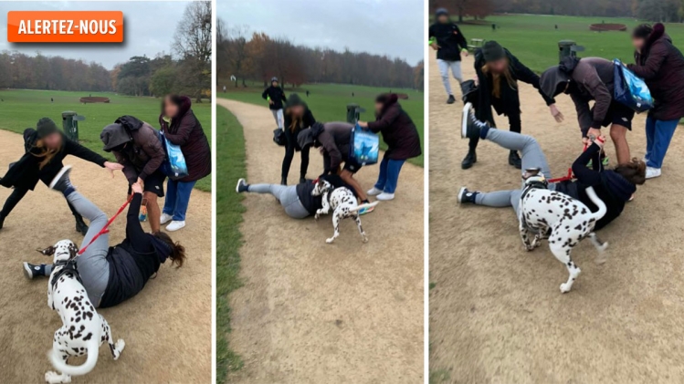 Des photos de l''agression