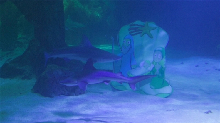 grab_20221202_114411_989