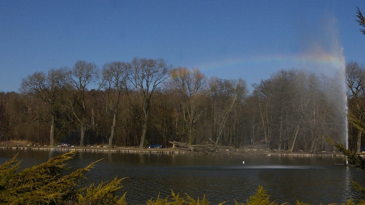 Genval: le corps sans vie d'une sexagénaire découvert sur un chemin près du lac