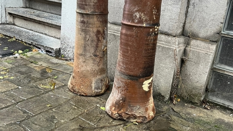 whatsapp image 2022-12-22 at 16.04.11