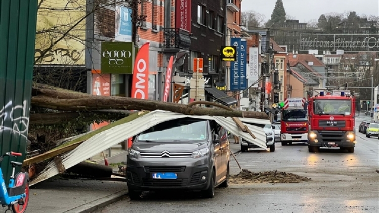 whatsapp image 2022-12-30 at 16.30.41