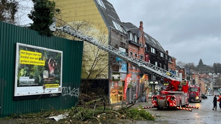 whatsapp image 2022-12-30 at 16.31.28