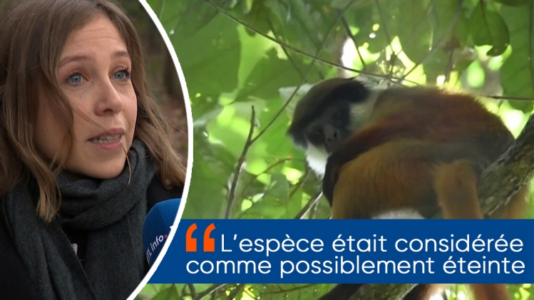 maquette_new_era_1200x675_2