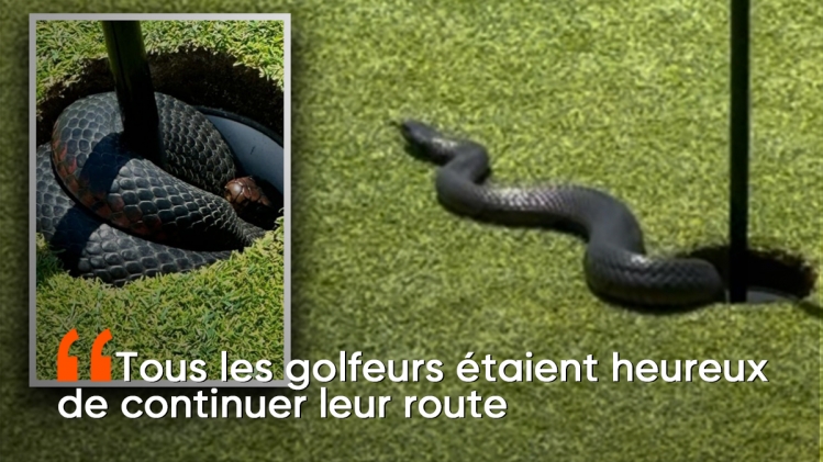 maquette_new_era_1200x675