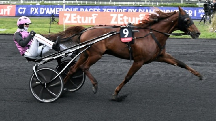 Retour de Hooker Berry champion du monde du trot dans les joutes