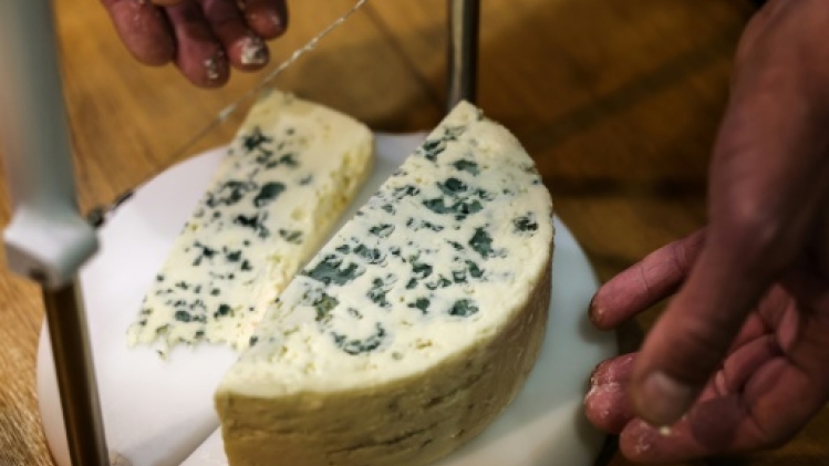 Au Salon 2023, l'agriculture à l'épreuve du climat