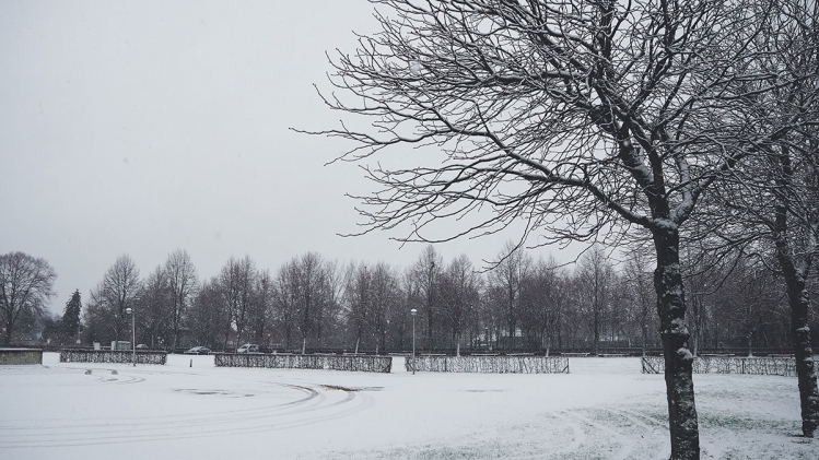 Edition numérique des abonnés