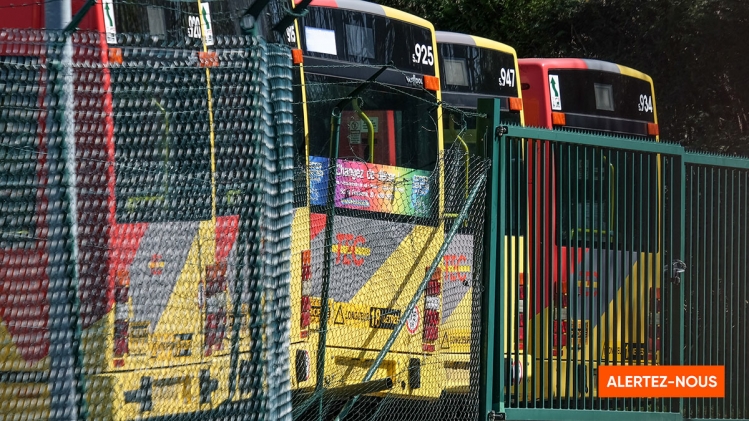 Edition numérique des abonnés