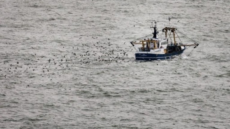 La pêche maritime belge a progressé en 2022