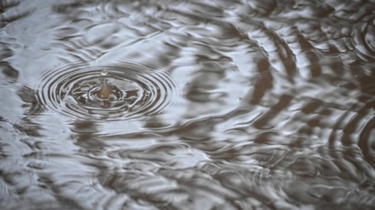 La semaine se termine sous une pluie immuable