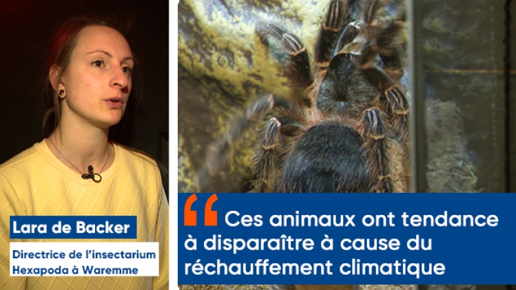 maquette-new-era-1200x675-validee-v3