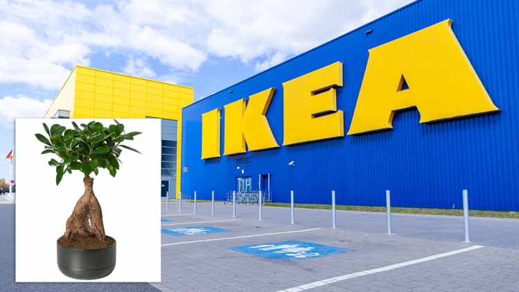 ikea