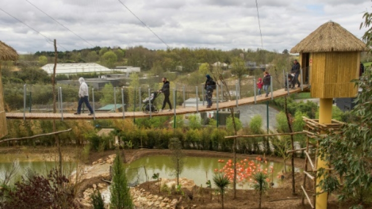 Le zoo de Beauval inaugure une volière présentée comme la plus grande d'Europe