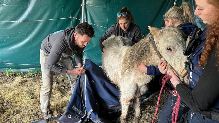 Edition numérique des abonnés