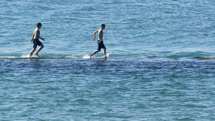 Edition numérique des abonnés