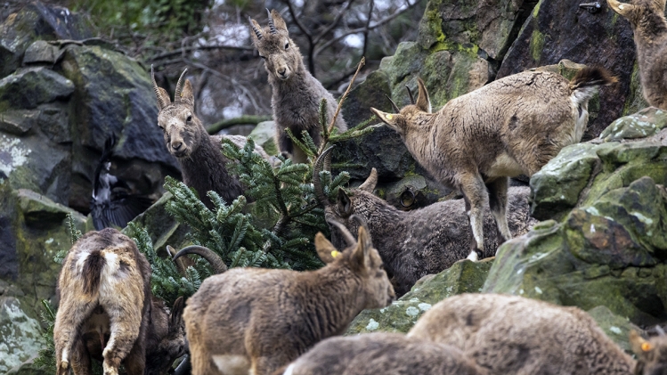 Edition numérique des abonnés