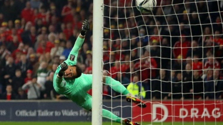 Le gardien autrichien Heinz Lindner opéré avec succès d'une tumeur