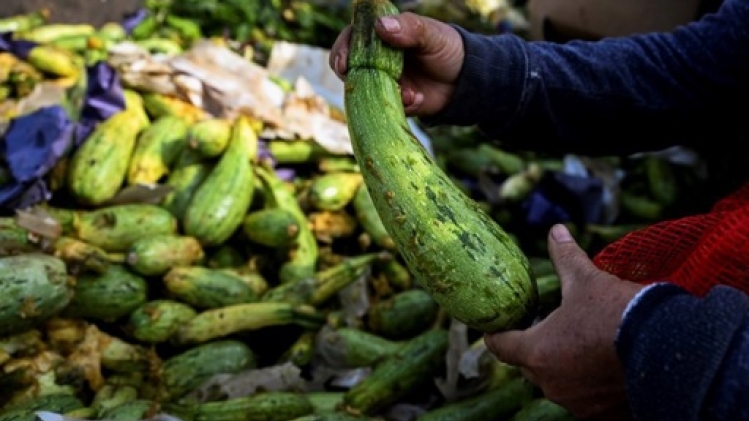 La campagne de la semaine sans viande organisée fin octobre en Belgique