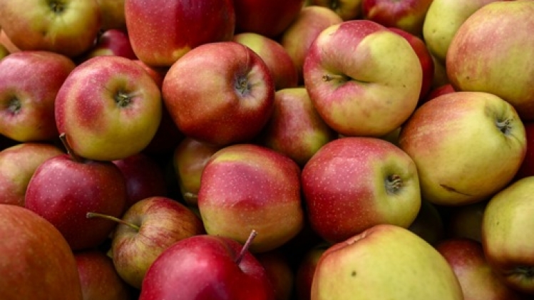 Les fruits qui poussent à Bruxelles sont de bonne qualité, selon une étude d'Innoviris