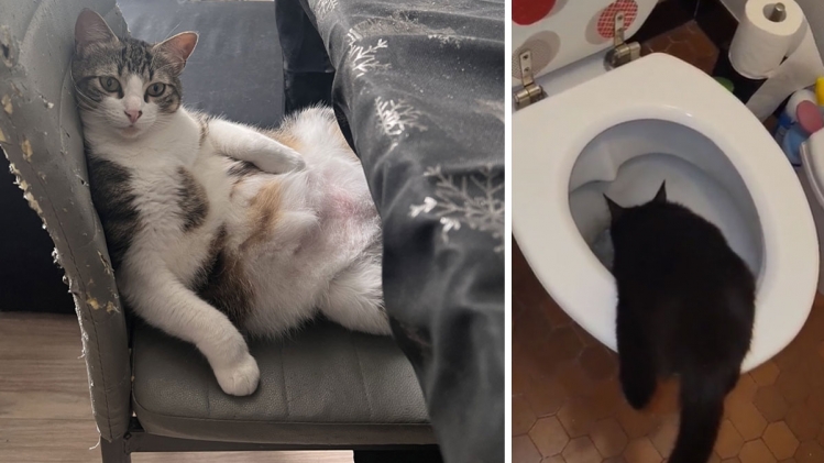 Edition numérique des abonnés