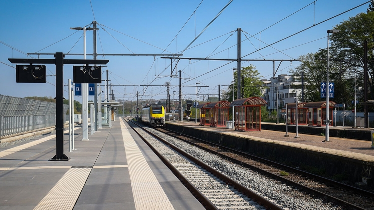 Edition numérique des abonnés